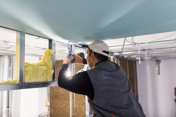 Best Insulation Maintenance and Repair in Lake Wynonah, PA