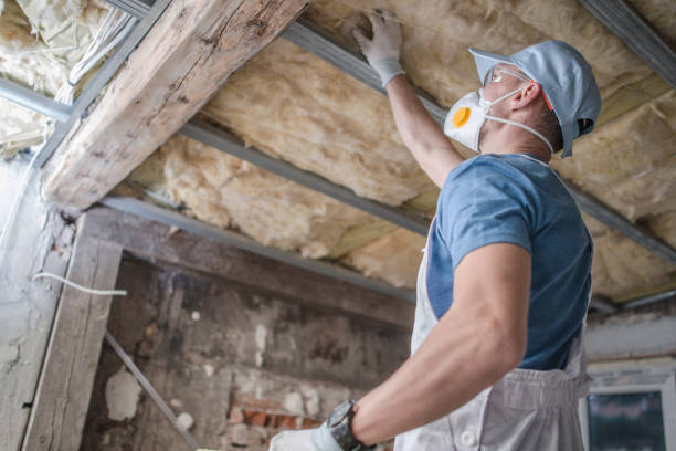 Best Insulation Materials and Products in Lake Wynonah, PA